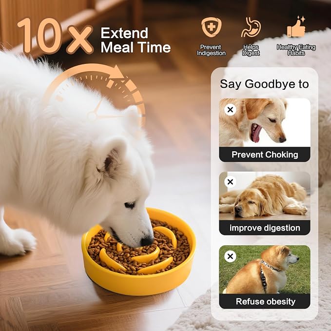 6'' Ceramic Slow Feeder Dog Bowls - Petal Shape Modern Dog Food Dish for Cats and Small Breed Dogs, Puzzle Maze Bowl to Slow Down Eating, Anti-Gulping, Dishwasher & Microwave Safe, Yellow - Image 4