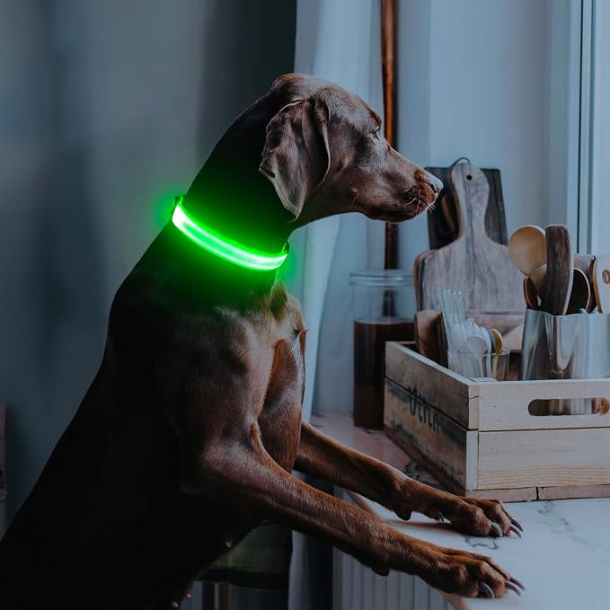 Illumifun LED Collar for Small Dogs, USB Rechargeable Light Up Dog Collar, Flashing Pet Safety Light Glow in the Dark (Green, Small) - Image 6