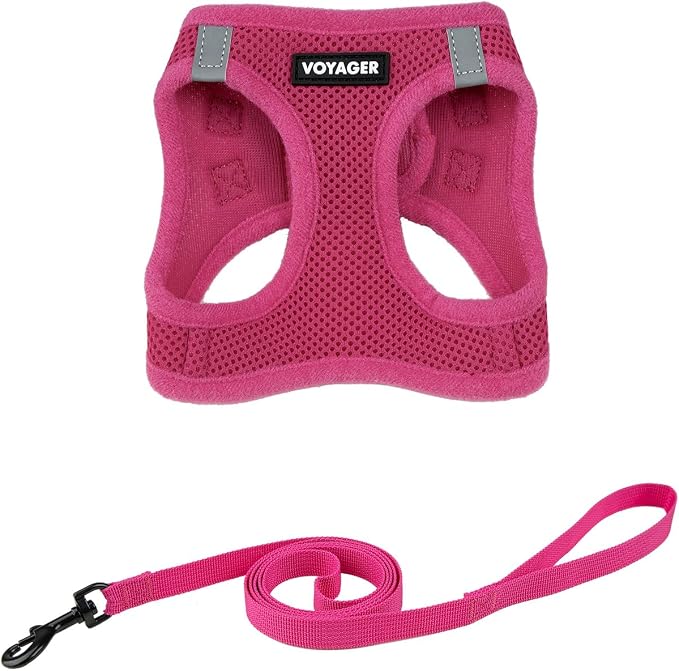 Voyager Step-in Air Cat Harness & Leash Set - Fuchsia, S | 14 - 16" in Chest, Reflective Bands, All Weather Breathable Air Mesh, Cats Compatible, Fast Drying by BestPetSuppliesLLC