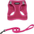 Voyager Step-in Air Cat Harness & Leash Set - Fuchsia, S | 14 - 16" in Chest, Reflective Bands, All Weather Breathable Air Mesh, Cats Compatible, Fast Drying by BestPetSuppliesLLC