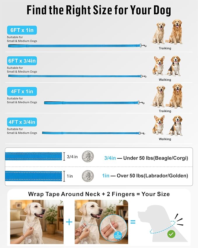 FunTags Reflective Nylon Dog Leash for Medium & Large Dogs, 6FT for Walks | Comfortable Padded Grip, Stay Safe at Night, 360° Anti-Tangle Swivel, for Dog Parks & Trails, Sky Blue - Image 7