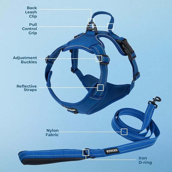 Voyager Dog Harness Dual Leash Attachment No-Pull Control Adjustable Soft but Strong Pet Harness for Medium and Large Dogs with 3M Reflective Technology, Leash Set Royal Nylon, S (Chest: 16-20") - Image 3