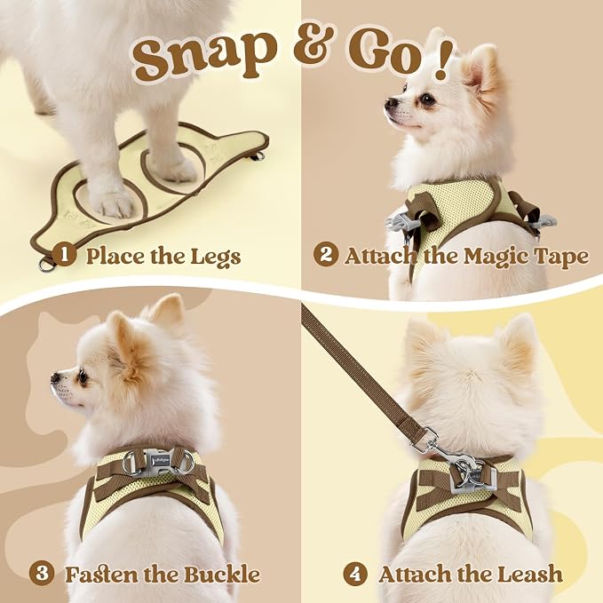 rabbitgoo Dog Harness Small Sized and Leash Set, Step in Soft Vest | Breathable Mesh, Easy Wear with Hook & Loop, Light and Reflective for Walking, Multi-colored, Beige & Coffee, XXS - Image 2
