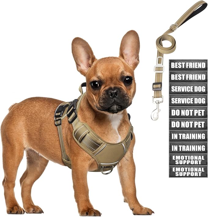 Tactical Dog Harness and Leash Set Small Sized Dog+10 Dog Patches | Adjustable No Pull Service Animal Dog Vest with Dog Seat Belt,Padded Handles,Reflective Easy Walk for Training Hiking Brown S by MOOGROUPETSFRIEND