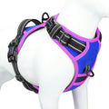Upgraded No Pull Dog Harness, Reflective Adjustable Vest | with a Training Handle + 2 Metal Leash Hooks+ 3 Snap Buckles +4 Slide Buckles(M, Royal Blue) by PHOEPET
