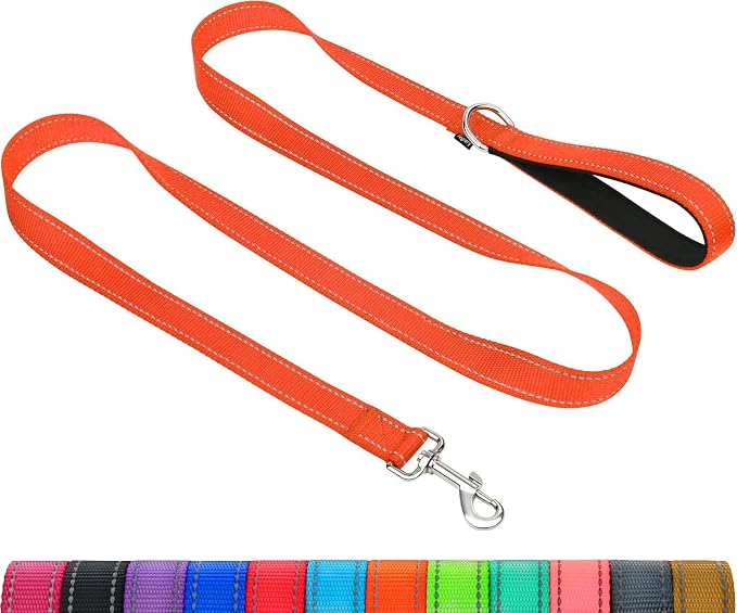 Taglory Reflective Dog Leash for Small Dogs, 3/4in x 6ft, Orange | Ideal for Night Walking, Strong for Sudden Pulls, Lightweight & Gentle on the Neck, Soft Padded Handle by Taglory
