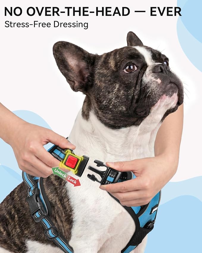 Joytale No Pull Dog Harness & Seat Belt, Easy On 3-Buckle, S, Sky Blue | Front Clip Reduces Pulling, Escape-Resistant Design, Adjustable Fit, Soft Padding for Comfort, Secure Tether for Safer Travel - Image 2