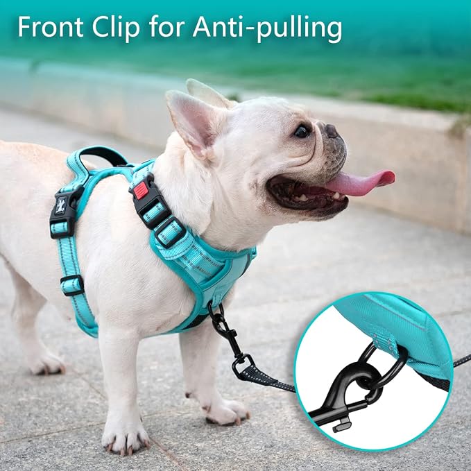 PoyPet No Pull Dog Harness, Reflective Vest with 2 Leash Clips & Handle | Lockable Neck Release Buckle, No Choke, Adjustable, Soft Padded, for Walking Training, Mint Blue Matching Trim, Large - Image 3