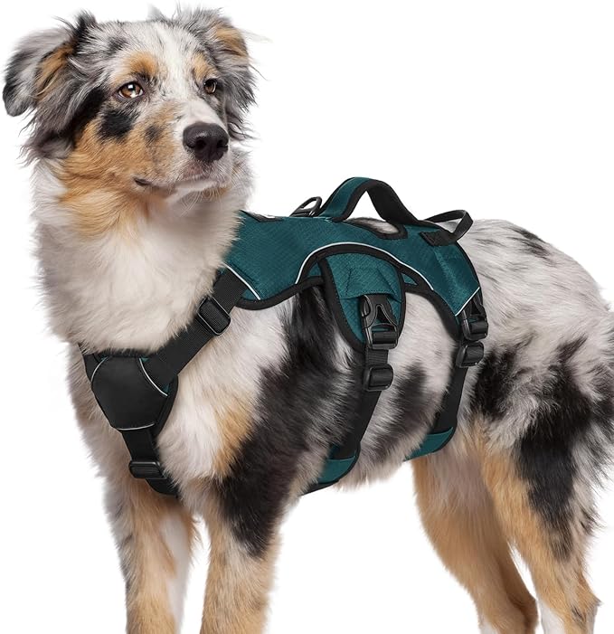 rabbitgoo Escape Proof Dog Harness for Medium, No Pull with Lift Handle | No Escape, Full Soft Padded, Reflective Adjustable Vest, Leash Clip for Walking Hiking Training, Dark Green, Medium by rabbitgoo