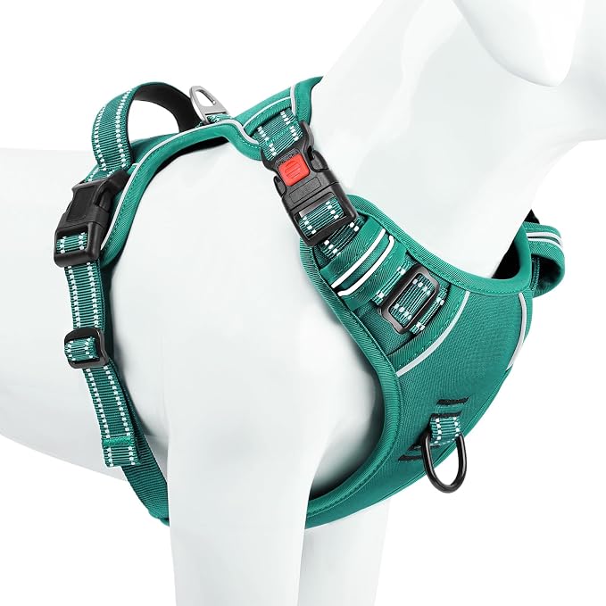 Timos Small Dog Harness, No Pull No Choke, Easy On & Off, Grass Green, S | Adjustable Reflective Soft Padded, Neck Quick Release with 3 Buckles, Front & Back 2 Clips and Handle for Walking Training - Image 8