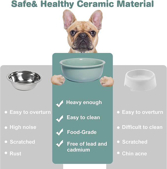 Ceramic Replacement Dog Bowl for Wordcam SS02 Model, 6.9"X2.6", Light Green | Food and Water Bowl Set, for Small Medium Cats, Pet Feeding Dishes for Dogs 20-35lbs, Thicker Ceramic, Anti-Skid, 28Oz/800ML - Image 3