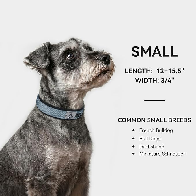 Joytale Reflective Dog Collar for Small Dogs with Wide Padding, Gray | Soft Cushion Reduce Neck Strain, Night Safety Walking, Metal Buckle and Adjustable Eyelets, Separated Dog ID Tag Ring - Image 5
