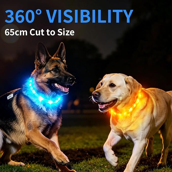 LaRoo LED Dog Collar, USB Rechargeable Flashing Light Dog Collar, Nighttime Safety, Cuttable Size for Small Medium Large Dogs, Makes Your Pet Visible in The Dark (Blue) - Image 4
