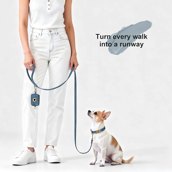 Didog PU Leather Dog Leash for Small Dogs, 5/8in x 5ft, Blue | Soft Grip Full Control, Easy Clean, Metal D-ring for Poop Bag Holder, Tangle-Free 360° Swivel Clasp, for Walking & Training - Image 2