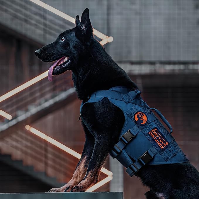 OneTigris Tactical Dog Harness for Small Medium Large Dogs, Mesh Design Service Dog Vest Breathable Military Dogs Molle Vests with Handles, Harness for Walking Hiking Training (Blue, L) - Image 6