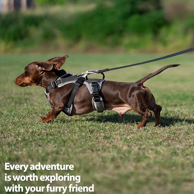 Escape Proof Dog Harness, Dachshund Harness, Reflective Dog Harness with Handle, Durable,Adjustable Vest for Small Medium Large Dogs Walking, Training, and Running Gear (Black,XL) - Image 7