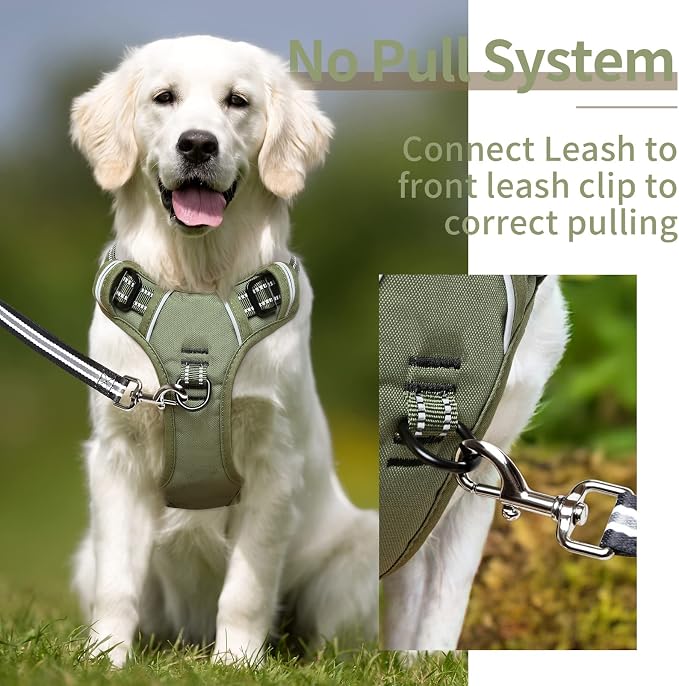 HEELE Dog Harness, Dog Harness for Small Medium Large Dogs No Pull Adjustable Padded Reflective Harness with Handle for Walking Training, Green, S | Soft Breathable Padded Pet Vest, No Pull No Choke, Adjustable 2 Metal Rings for Outdoor Walking Training - Image 5