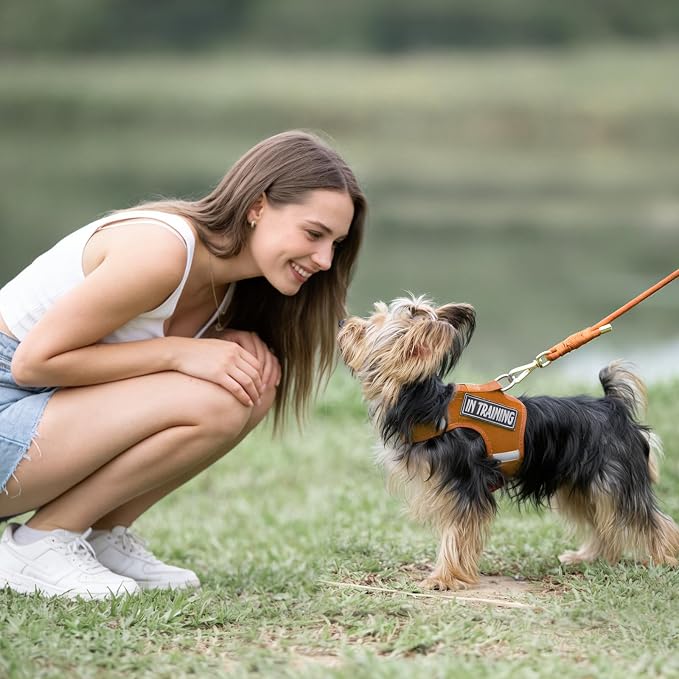5FT Dog Leash 5/16 inch Puppy Cat Rope Lead | Carmel Brown, with Anti-tangle Swivel Clip, Comfortable Non-slip Grip Handle, Ideal for Daily Walks, for Small Medium Dogs - Image 7