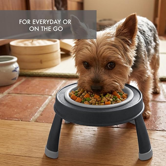 Dexas Pets Elevated Pet Feeder, Small, 1.5 Cup Capacity, Light Gray, Raised Pet Food and Water Bowl - Image 4