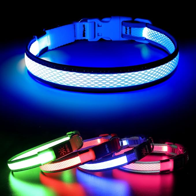 BSEEN Light Up Dog Collar, Reflective LED Puppy Collar Rechargeable Glow in the Dark Dog Lights for Night Walking (Small, Blue) by BSEEN