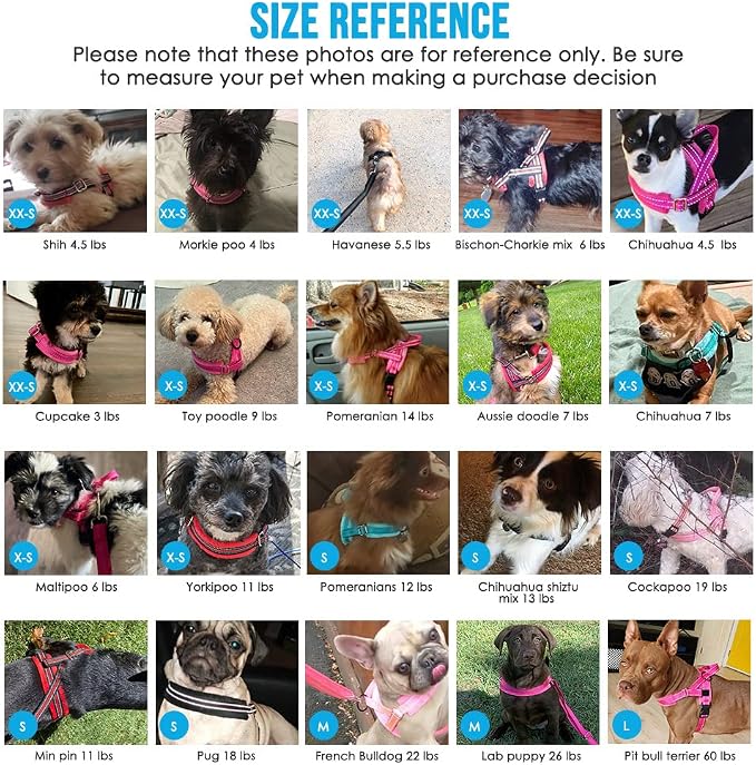Lukovee Small Dog Harness and Leash Set, No Pull Soft Padded Vest | Both Neck & Chest Adjustable, Reflective, Puppy Harness with 4ft Lightweight Anti-Twist Dog Leash for Small Dogs (01-LBL, XS) - Image 5