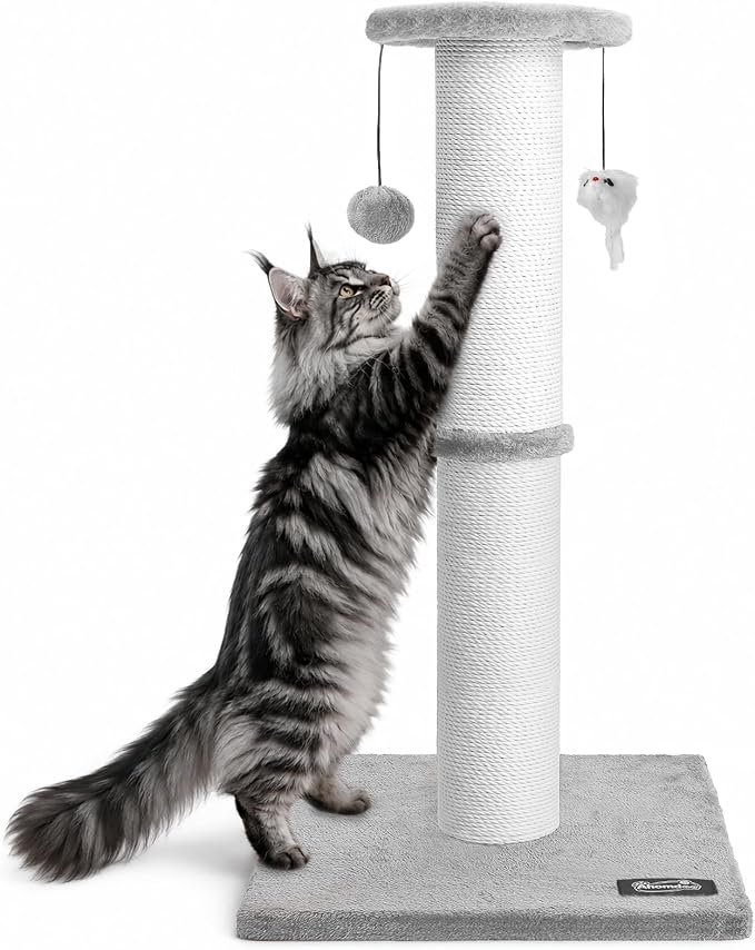 34"Tall Cat Scratching Post for Large Cats, Stable Base, Light Gray | Heavy-Duty Cat Scratcher, Extra-Tall Thick Post, Soft Natural Cotton Rope, Hanging Interactive Cat Toys, Indoor Cat Furniture by Ahomdoo