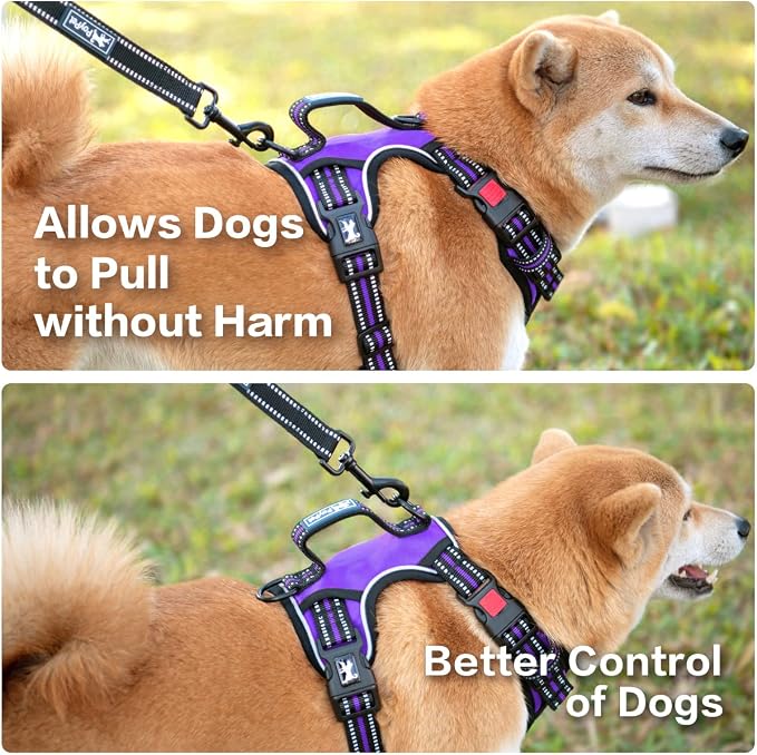 PoyPet No Pull Dog Harness with 3 Leash Clips and Vertical Handle | No Choke, Reflective, Adjustable, Soft Padded, Dog Vest for Large Dogs, Walking Training, Purple, XL - Image 4