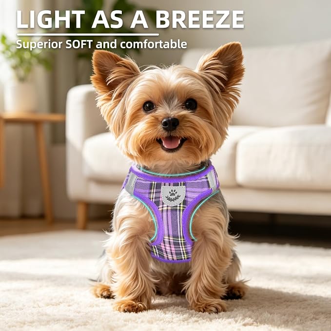 PUPTECK Dog Harness, Collar and Leash Set No Pull for Small Medium Sized | Plaid Puppy Step-in Escape Proof Reflective No Choke Pet Cat Adjustable Walking Vest - Image 3