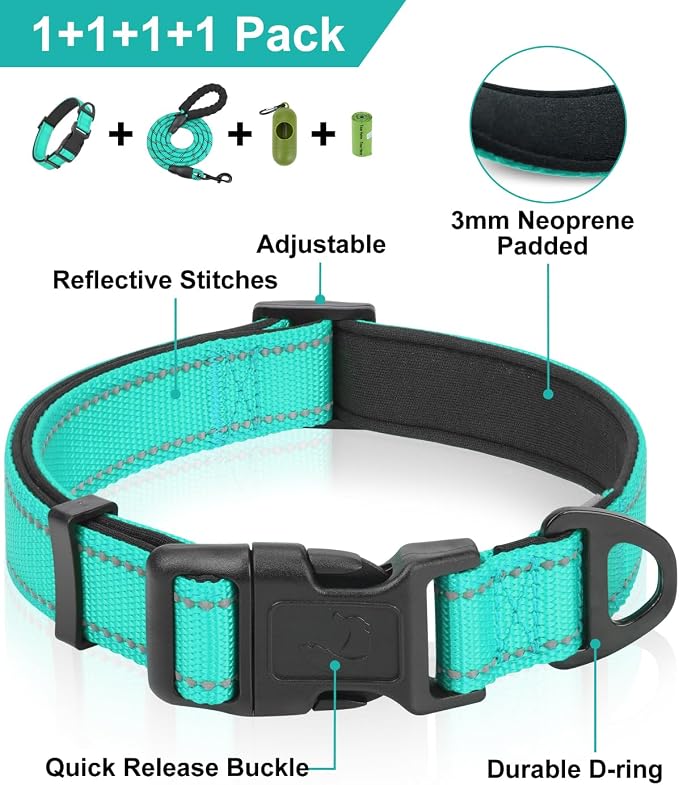 Dynmeow Reflective Dog Collar and Leash Set for Small Dogs, Teal | Soft Neoprene Padded, 6FT Climbing Rope, Ideal for Daily Outdoor Walking or Indoor Wearing, Night Visible for Safety - Image 2
