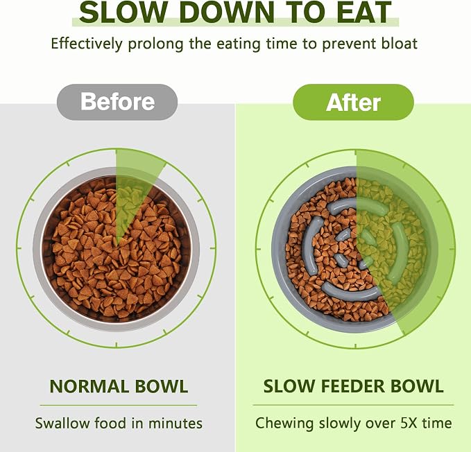 Pecute Slow Feeder Dog Bowls to Slow Down Eating, Dog Slow Feeder Bowl | No-Spill Non-Skid Silicone Mat, Food-Grade Safe Dog Food Bowls Slow Feeder, Stainless Steel Dog Water Bowl for Dogs Cats - Image 3