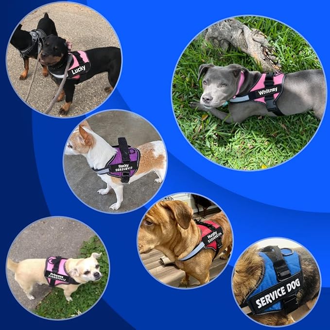 MUMUPET Custom Dog Harness Vest with 2 Personalized Name & Phone Patches | No Pull Reflective Adjustable with Handle, Soft Breathable Padding for Medium Dogs (Red, M) - Image 5