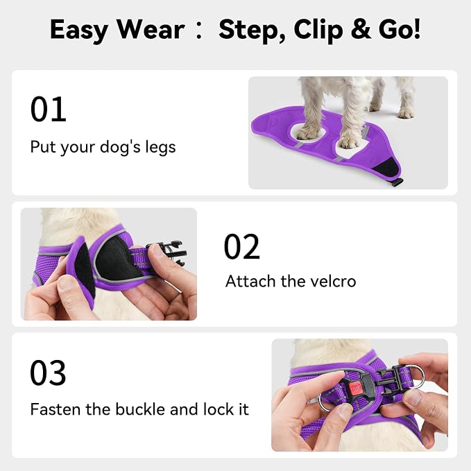 Joytale Step-in Dog Harness, Soft Breathable Mesh, Purple XXXS | Adjustable Fit for Small Dogs, Easy Step-in with Secure Fastener, Even Chest Pressure, Reflective For Night Safety, Washable - Image 3