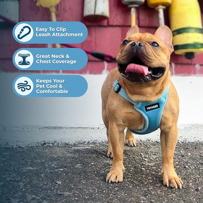 Best Pet Supplies Voyager Adjustable Step-in Flex Breathable Mesh Dog Harness for Small Medium Large Dogs Leash Set (Baby Blue), L - Image 5