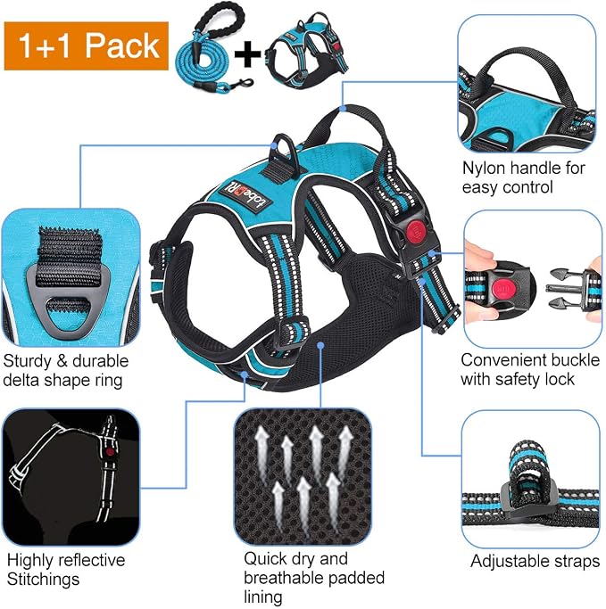tobeDRI No Pull Dog Harness Adjustable Reflective Oxford Easy Control Medium Large Dog Harness with A Free Heavy Duty 5ft Dog Leash, Blue, S - Image 3