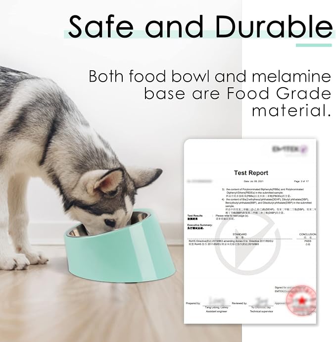 SUPERDESIGN Anti-Vomiting 15° Slanted Pet Bowl L/2 Cup Teal | 15° Tilted, Anti-Vomit & Neck Relief, Non-Slip Base, Detachable Stainless Steel Liner, Dishwasher Safe, for Cats & Dogs - Image 6