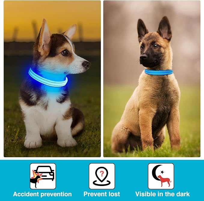 Light Up Dog Collar, Rechargeable USB Collar, Waterproof, Luminous LED Collar, Adjustable, Super Bright, Night Walking for Small Medium Large Dogs, Blue, S - Image 5