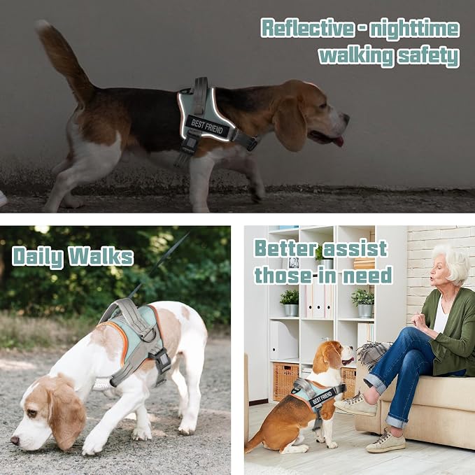 AUROTH Dog Harness and Leash Set for Large Sized Dog, No Pull Dog Vest | with Leash Clips, LED light clip, Soft Padded No Choke, Escape Proof, Easy Walking and Training, Macaron Blue, XL - Image 2