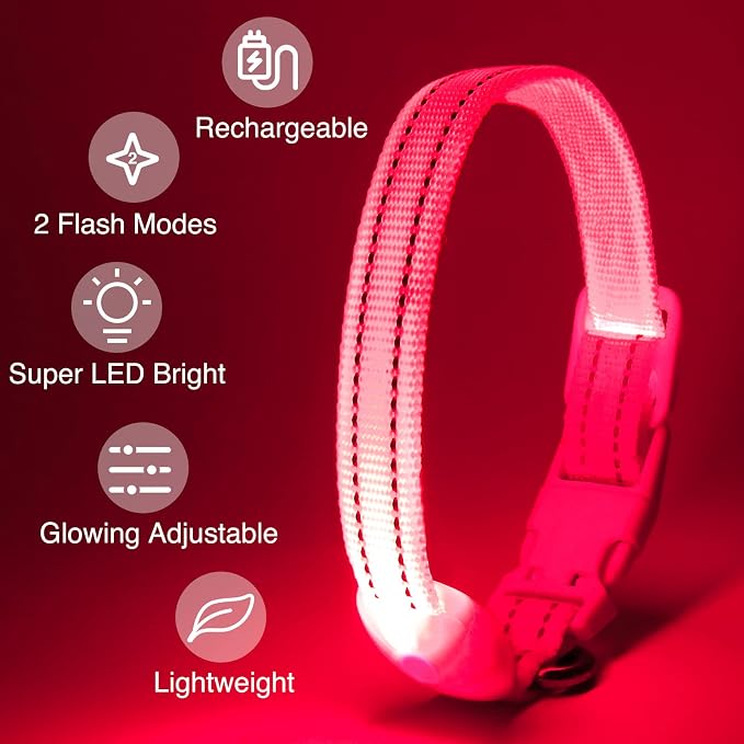 Light Up Dog Collar, Rechargeable USB Collar, Waterproof, Luminous LED Collar, Adjustable, Super Bright, Night Walking for Small Medium Large Dogs, Pink, S - Image 2