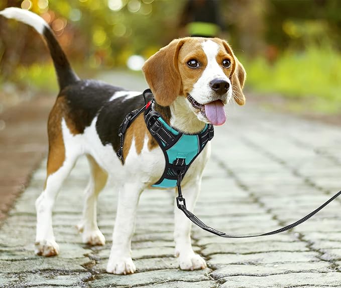 PoyPet No Pull Dog Harness Medium with Front Clip & Neck Release Buckle | No Choke, Adjustable Vest, Reflective, Back Clip, Lockable, Soft Padded Handle for Walking Training, M, Mint Blue - Image 2