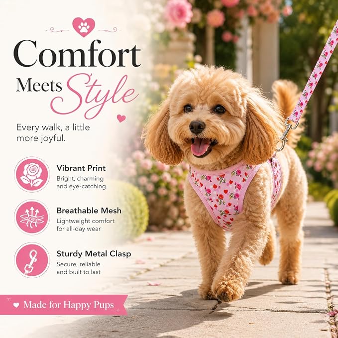 Step in Valentine's Day Dog Harness Leash Set- All Weather Reflective No-Pull Floral Pattern Padded Mesh Vest Harness for Cats Puppy Extra-Small Small Medium Large Dogs - Heart Rose - M - Image 3