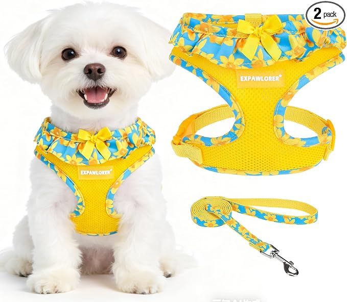 EXPAWLORER Step-in Dog Harness Small Sized and Leash Set | Cute Small Dog Harness No Pull Girl, Breathable Soft Mesh Padded, Adjustable Light Puppy Vest for Dogs Cats, Daffodil XS by EXPAWLORER