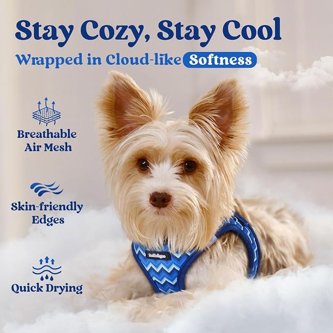 rabbitgoo Step-in Small Dog Harness, Puppy Vest for Small Medium Sized Pet | Easy Put on and off, Lightweight, Soft, Breathable Quick-Dry Air Mesh for Comfortable Secure Walking, Blue Zigzag L - Image 3