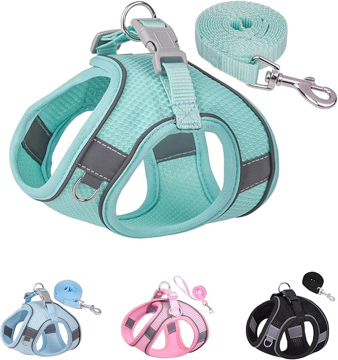 Solmoony Small Dog Harness - No Pull, Step-in, Mesh - Puppy Set (Green, XS) by SOLMOONY