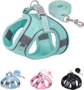 Solmoony No Pull Dog Harness - Step In, Mesh, Green (S) by SOLMOONY