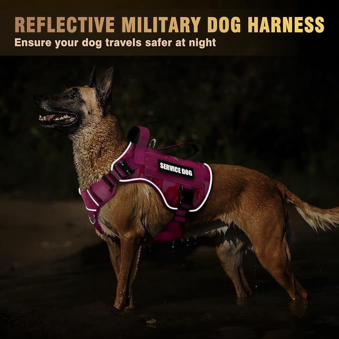 2X Metal Buckle Service Working MOLLE Dog Vest with 10 Pet Patches | Tactical Dog Harness for Large Dog, No-pull Military Working Vest for Training Hunting Walking，2x D Rings for Leash Clip - Image 6