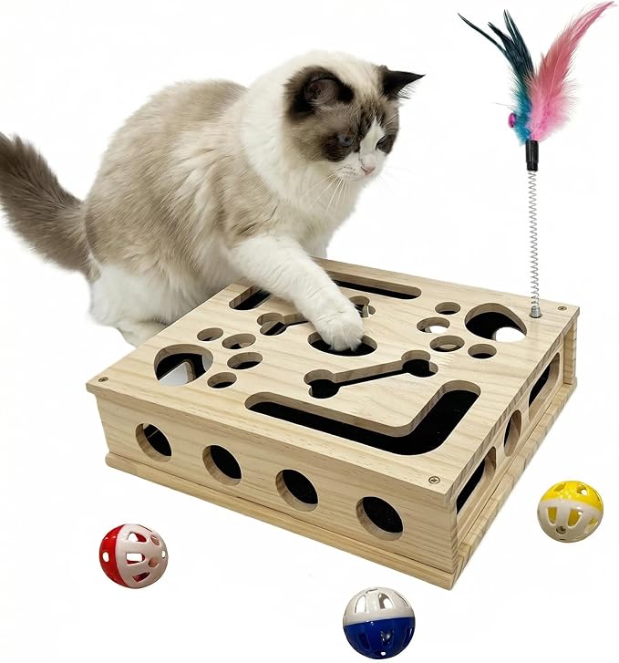 Cat Scratch Puzzle Enrichment Box, Cat Nail File Enrichment Box Sandpaper, Interactive Cats Treat Toy Stress Free, Scratchers that Trim Nails by RoadAlchemist