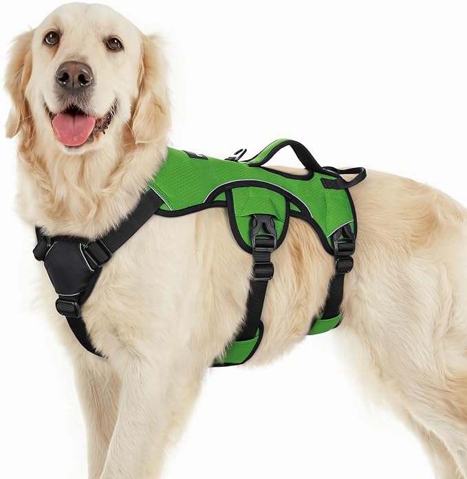 rabbitgoo Escape Proof Dog Harness for Large, No Pull with Lift Handle | No Escape, Full Soft Padded, Reflective Adjustable Vest, Leash Clip for Walking Hiking Training, Green, Large by rabbitgoo