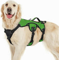 rabbitgoo Escape Proof Dog Harness for Large, No Pull with Lift Handle | No Escape, Full Soft Padded, Reflective Adjustable Vest, Leash Clip for Walking Hiking Training, Green, Large by rabbitgoo