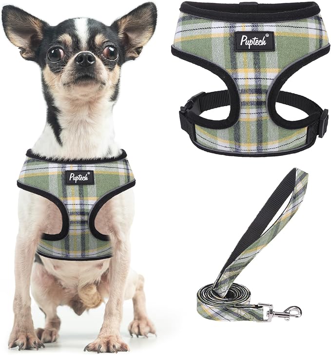 PUPTECK Small Dog Harness and Leash Set No Pull for XS XXS Sized Dogs Puppy | Escape Proof No Choke Pet Cat Adjustable Soft Padded Walking Vest by PUPTECK