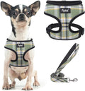 PUPTECK Small Dog Harness and Leash Set No Pull for XS XXS Sized Dogs Puppy | Escape Proof No Choke Pet Cat Adjustable Soft Padded Walking Vest by PUPTECK